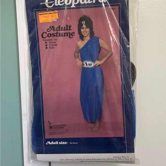 Other - Vintage Collegeville costumes adult Cleopatra costume